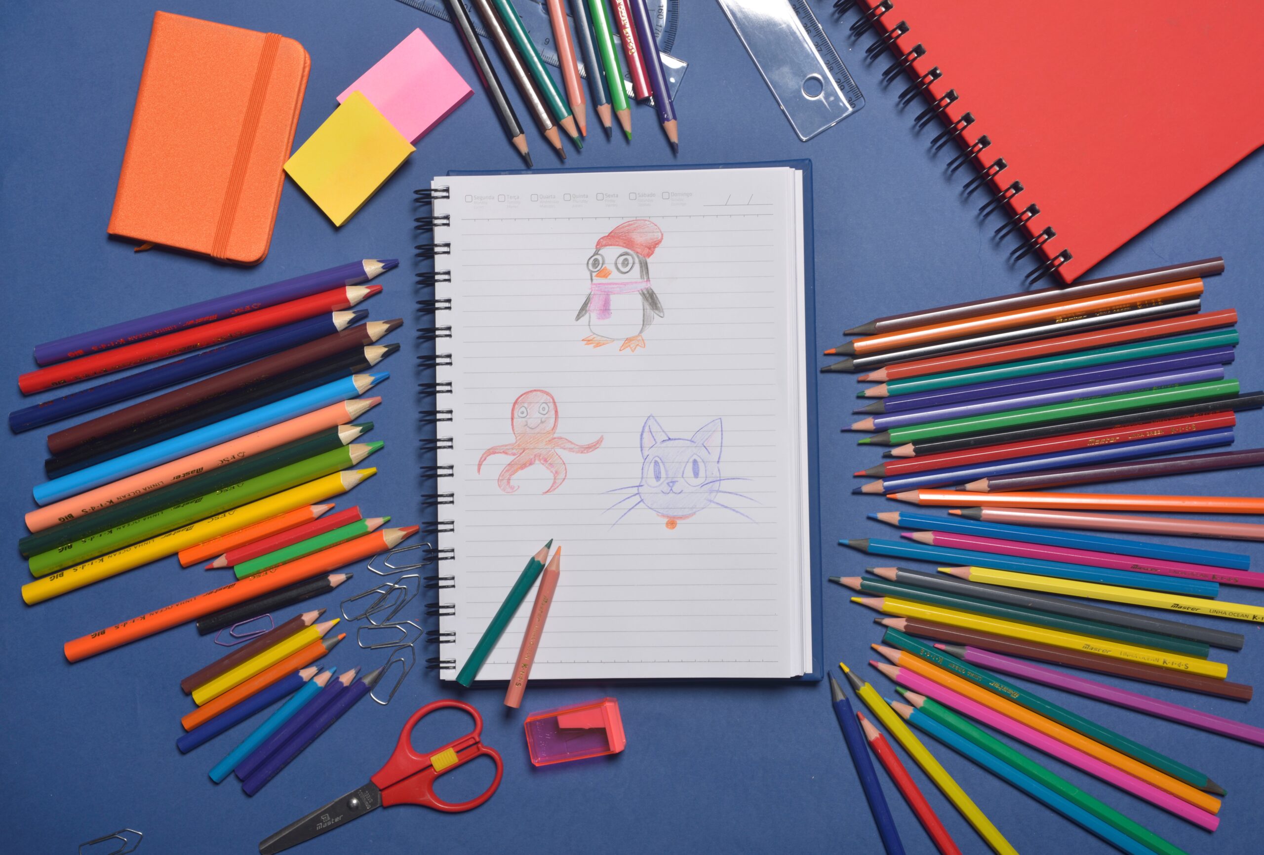 Descubra los productos Master para los amantes del dibujo.
